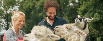 Eine Frau und ein Mann Füttern Lamas und Alpakas in der Natur 