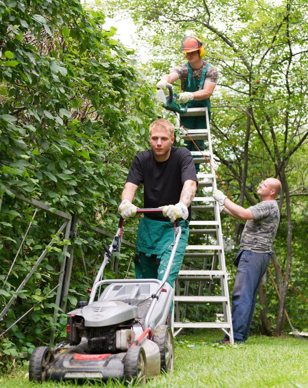 Männer bei der Gartenarbeit: Hecke schneiden und Rasen mähen